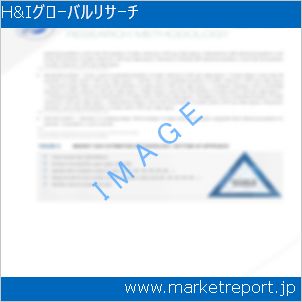 市場と産業調査レポートのイメージ